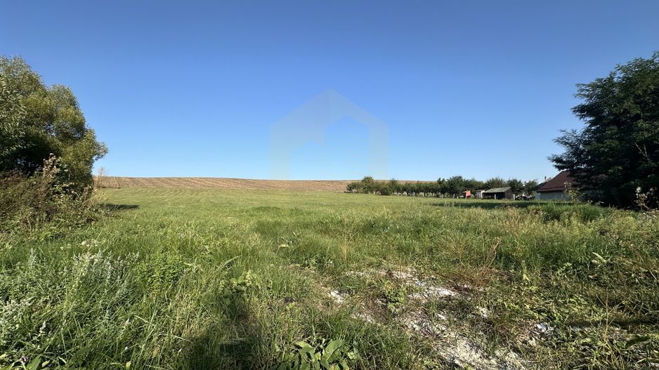 Vanzare teren 2936 mp, zona strada Dealu Fanatelor - Poză 8