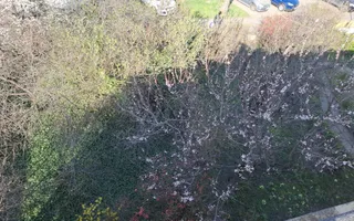 2 camere in vila Sagului-Elisabetin etaj 1 - Poză 16