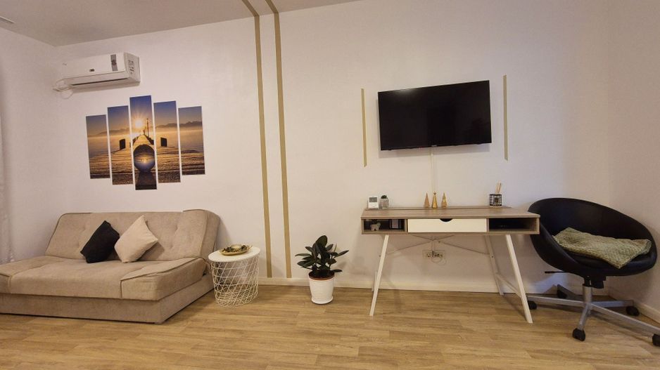 STUDIO | DIMITRIE POMPEIU | PIPERA | PET-FRIENDLY - Poză 3