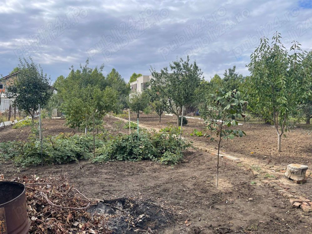 Teren de vanzare | Mogosoaia | 1252 mp - Poză 1