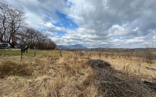 3600 mp Teren pentru investitii - Poză 1