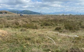 TEREN INTRAVILAN 5000 MP, GRUI, CAMPULUNG - Poză 5