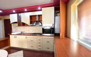 3 camere, Plopilor,Parcul Rozelor, Hatieganu,Calvaria,PET Friendly - Poză 14
