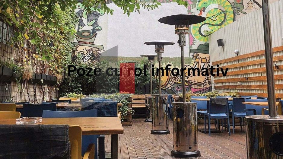 Spatiu comercial de inchiriat cu terasa zona Bucurestii Noi - Poză 1
