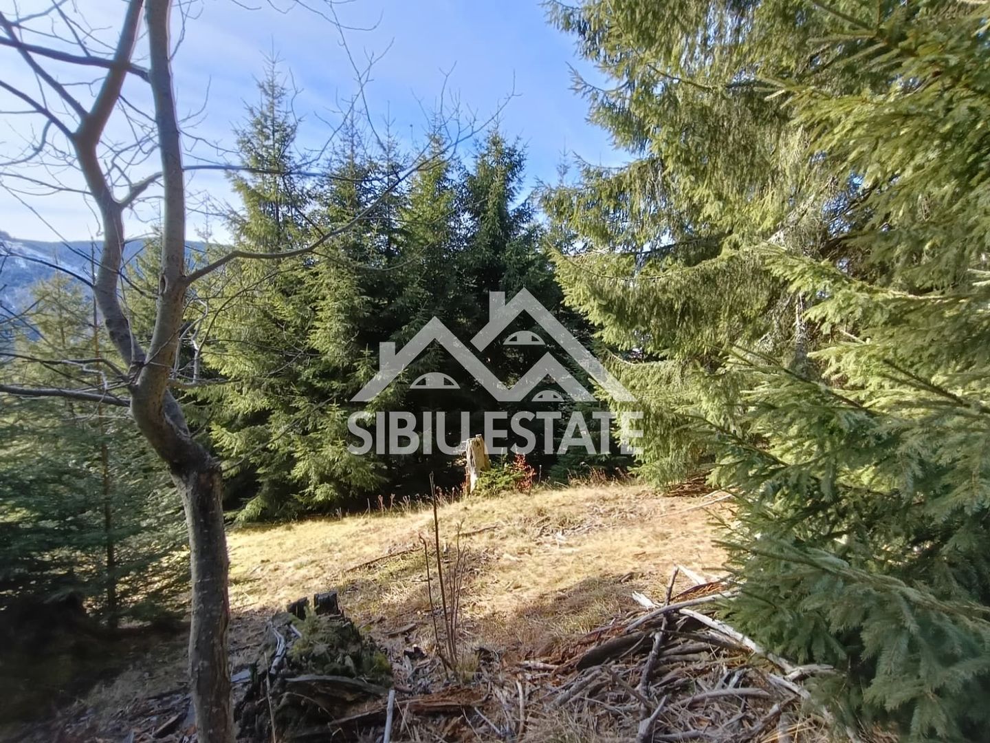 Teren de vânzare în zona montană a județului Alba - Poză 7