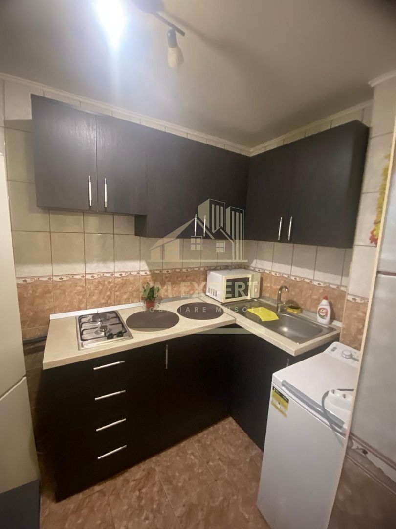 GARSONIERA ETAJ 8, BUCURESTI, STRADA TEIUL DOAMNEI - Poză 4