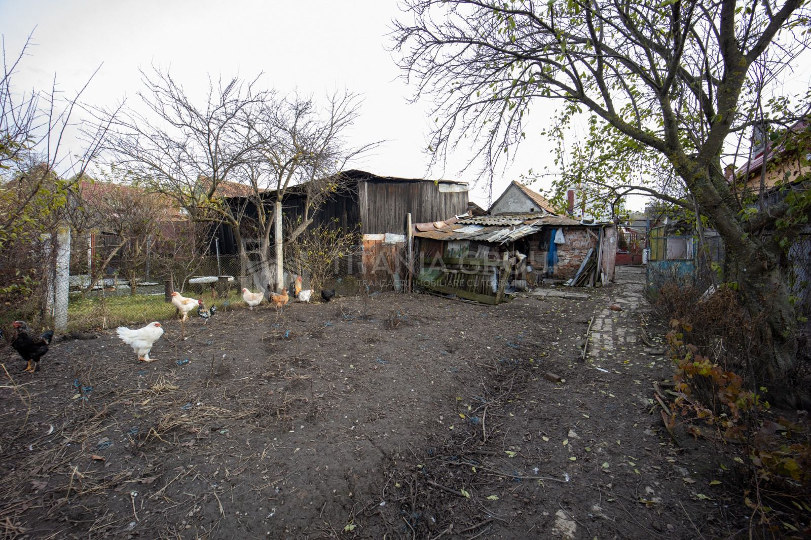 Casa de vanzare, Bod Judetul Brasov - Poză 4