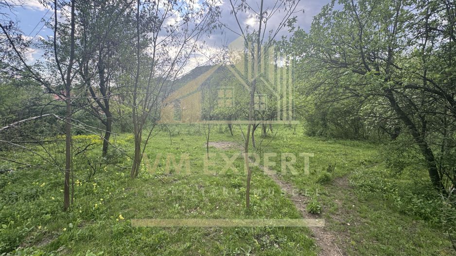 TEREN INTRAVILAN 7018 MP CAMPULUNG - Poză 4