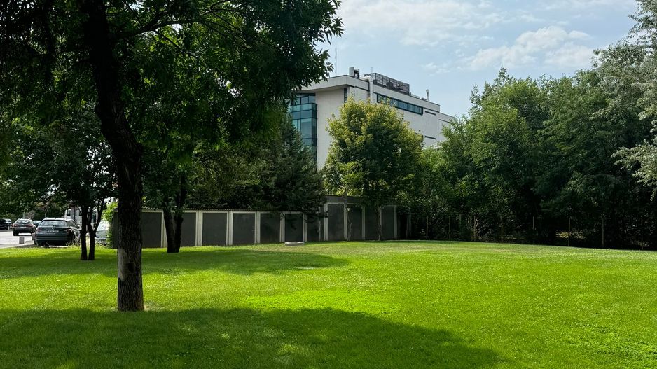 Comercial | Stradal | NOU | 273 m2 | Trafic Intens | - Poză 8