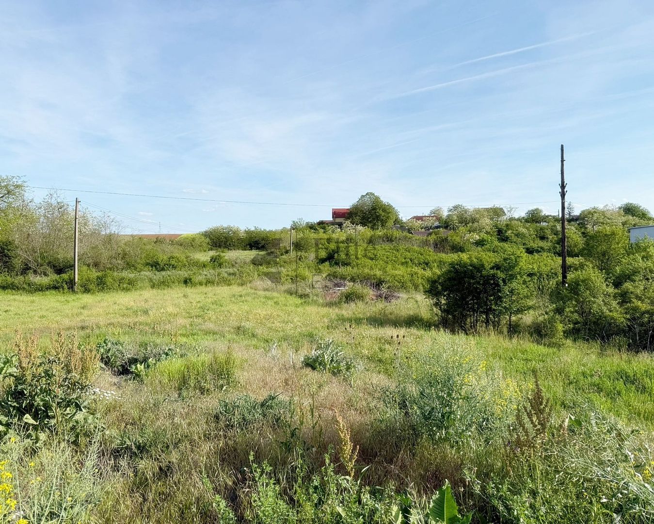 Teren intravilan 5680 mp la E671 / DN in Les, Bihor - Poză 4