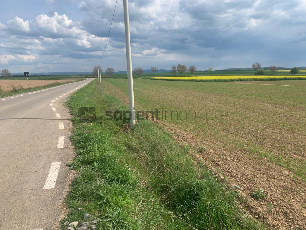 Sapient | Teren Agricol Intravilan zona Bors ,localitate Santau - Poză 2