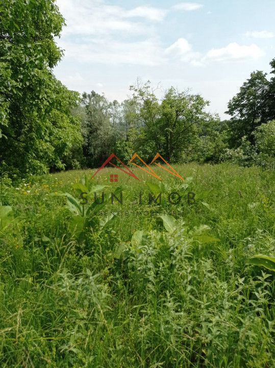 Teren 2500 mp, acces drum asfaltat, Bustenari, Telega Prahova - Poză 3