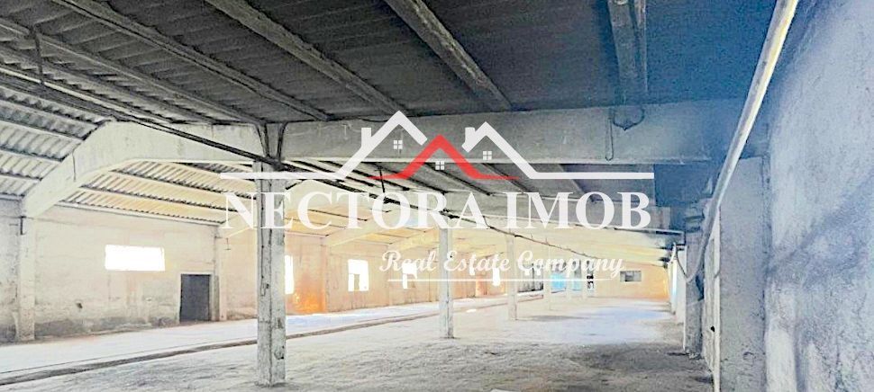 NECTORA IMOB-Hala industriala Gheghie, 2472 mp + 7145 mp teren, la E60 - Poză 2