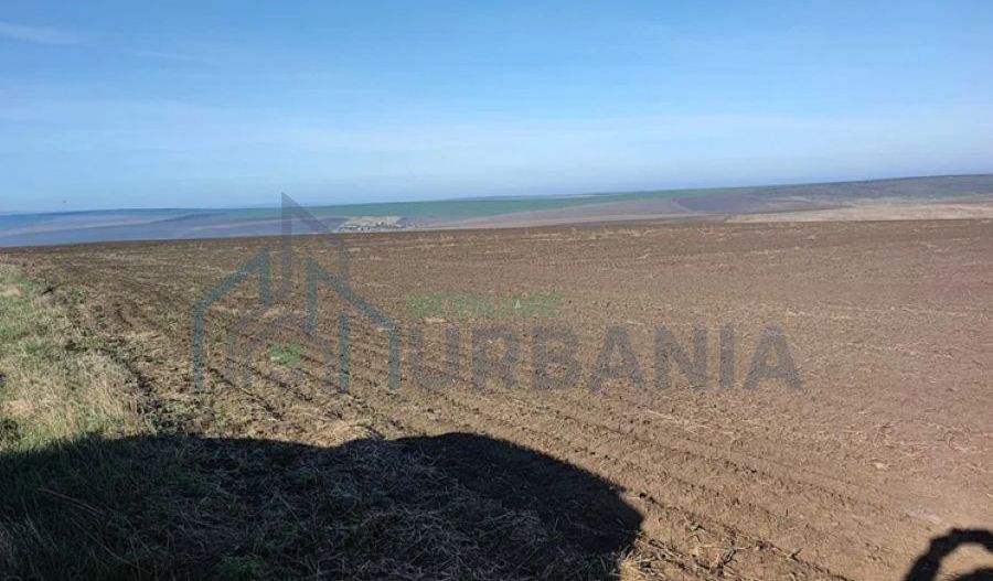 Teren de vânzare în Rediu-Horlești, 7850 mp, cu deschidere la DJ 248b, parcelabil - Poză 8