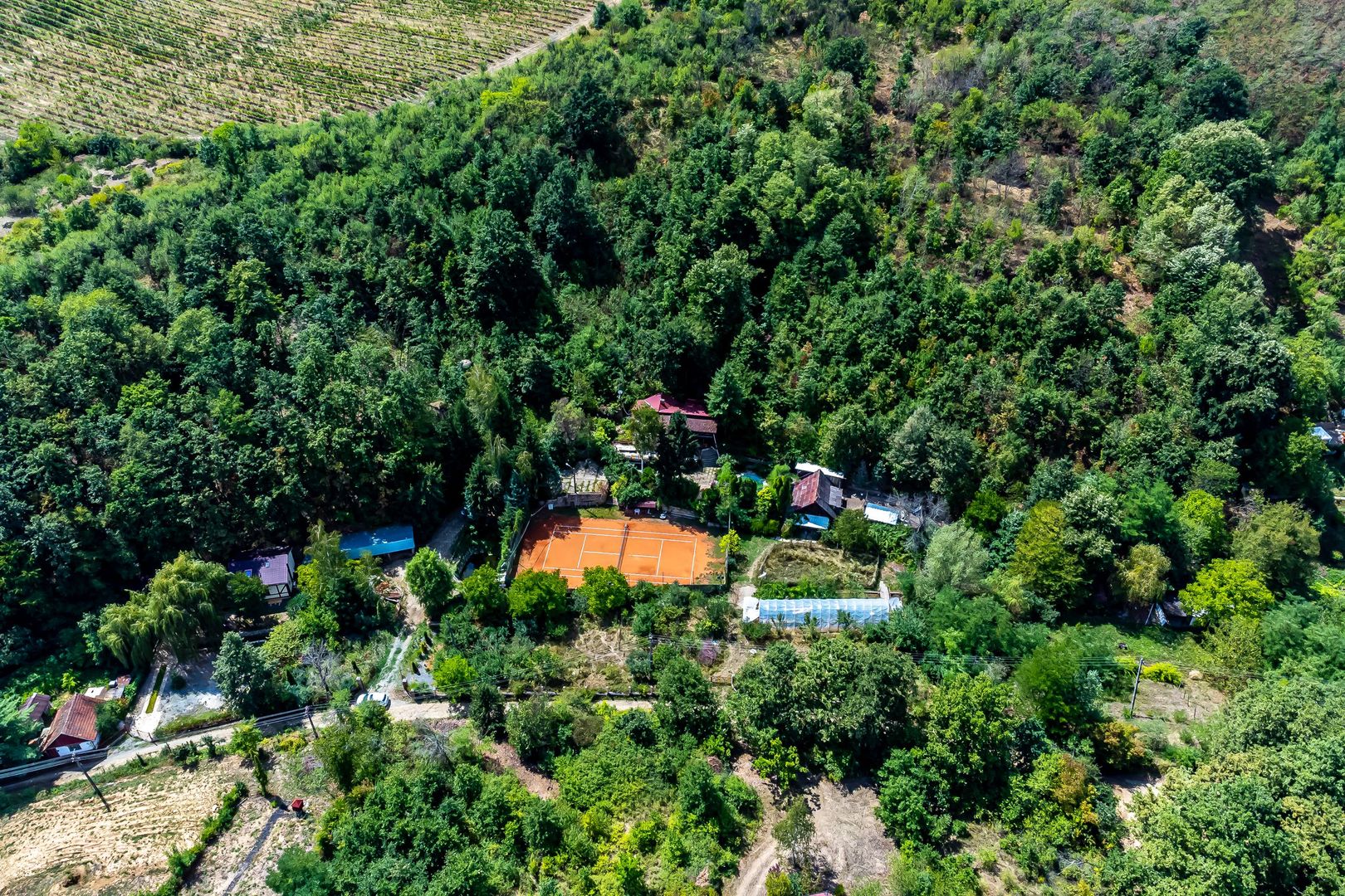 PROPRIETATE VÂNDUTĂ Casă conac cu 15.000 mp deal împădurit la Barațca, - Poză 14