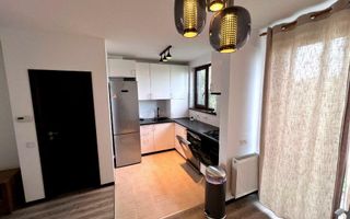 Proprietar inchiriez vila Pipera - Vasile Alecsandri - Poză 2