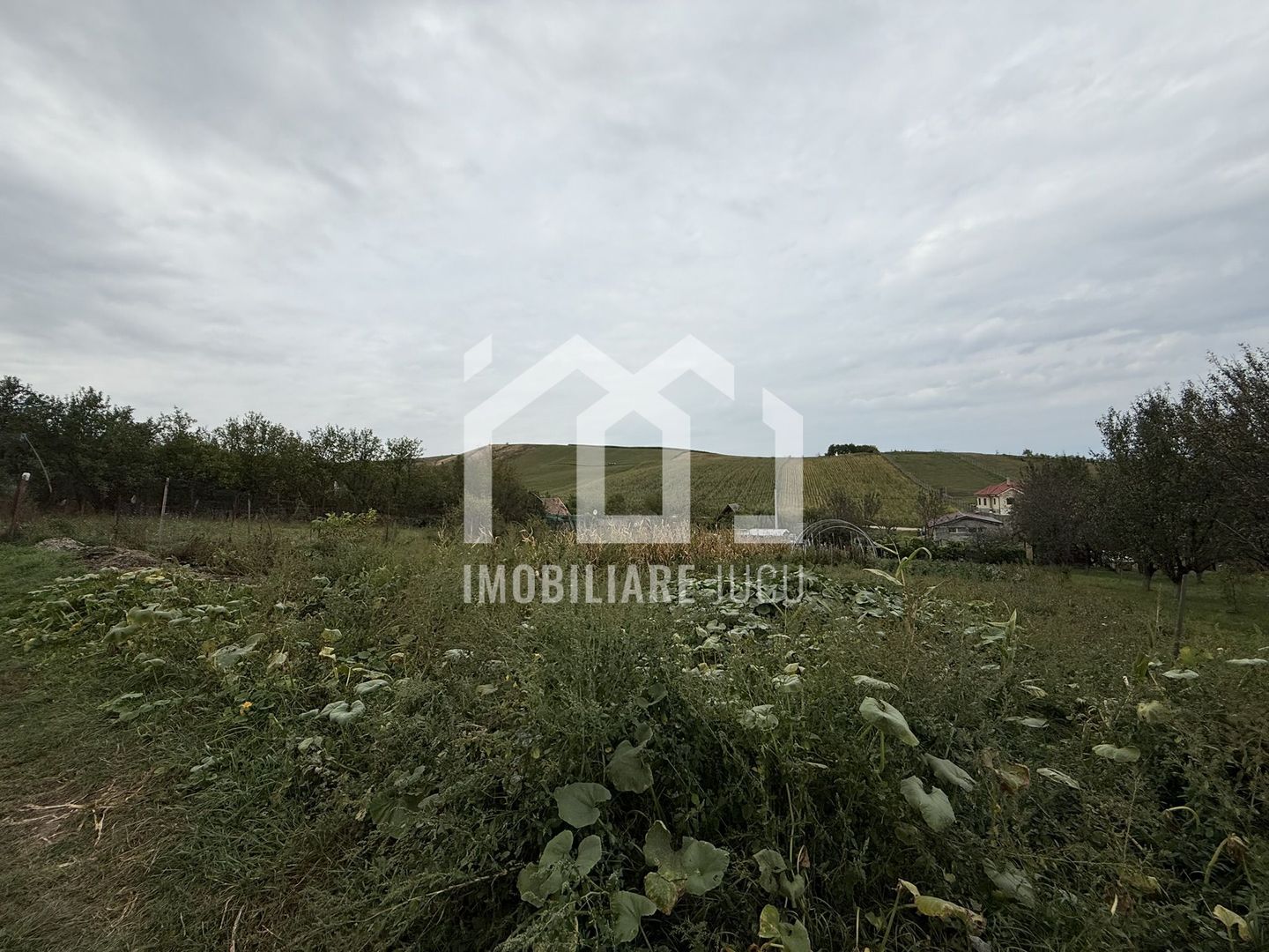 Teren construibil – 1.000 mp | Gădălin - Poză 2