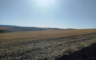 Teren Agricol de Vânzare (Extravilan, 182 Ari) –în mun. Chișinău, or. Sîngera  -Investiție cu Potențial ! - Poză 6