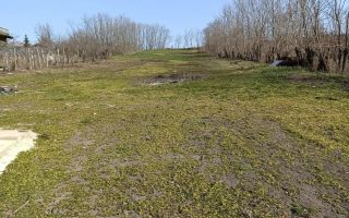 Casă renovată, Romanesti, Iași – 3 camere, 50 mp utili, teren 3240 mp - Poză 14