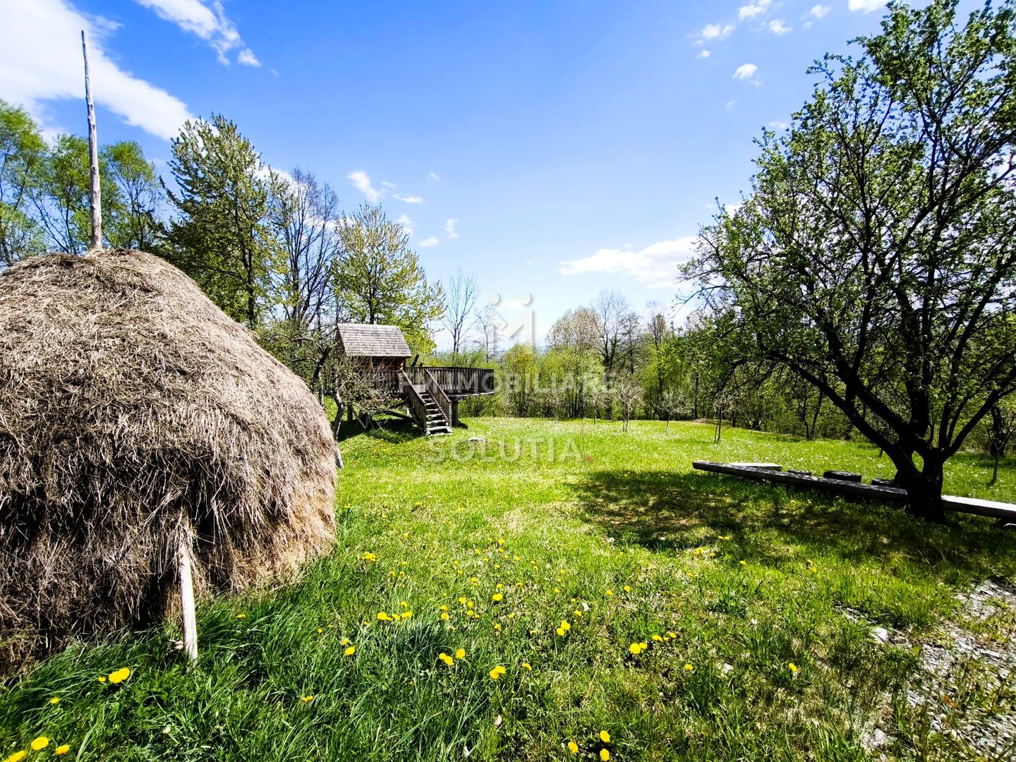 Pensiune agroturistică de vânzare | Desești – Maramureș - Poză 17