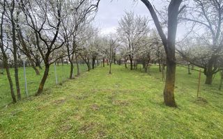 TEREN INTRAVILAN 1278 MP, VALEA MARE PRAVAT, ARGES - Poză 5