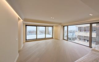 Innhiriere Penthouse Iancu Nicolae Gradina Zoologica - Poză 4