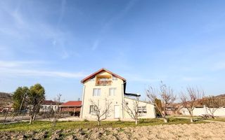 Casa individuala cu 12 camere, Potential Turistic, Visea, Comuna Jucu - Poză 45