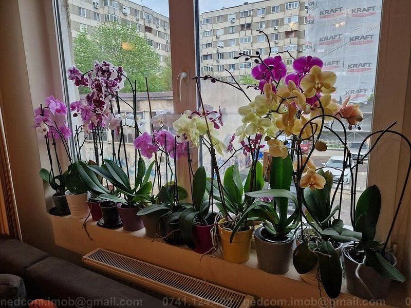 Vanzare apartament 4 camere Rahova - Dumbrava Noua - Poză 2