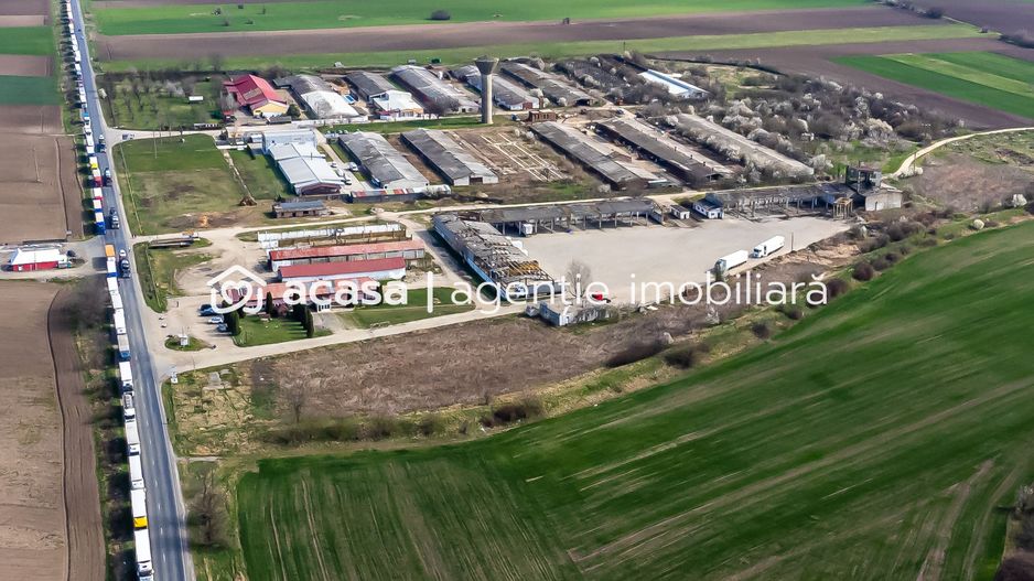 4,2 ha Teren DN7 Nădlac pentru Parc Logistic - Poză 6