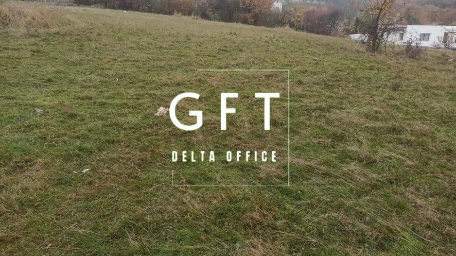 Teren intravilan 5300mp-Parcelabil-ideal casa, investitie-Zona Centura - Poză 4