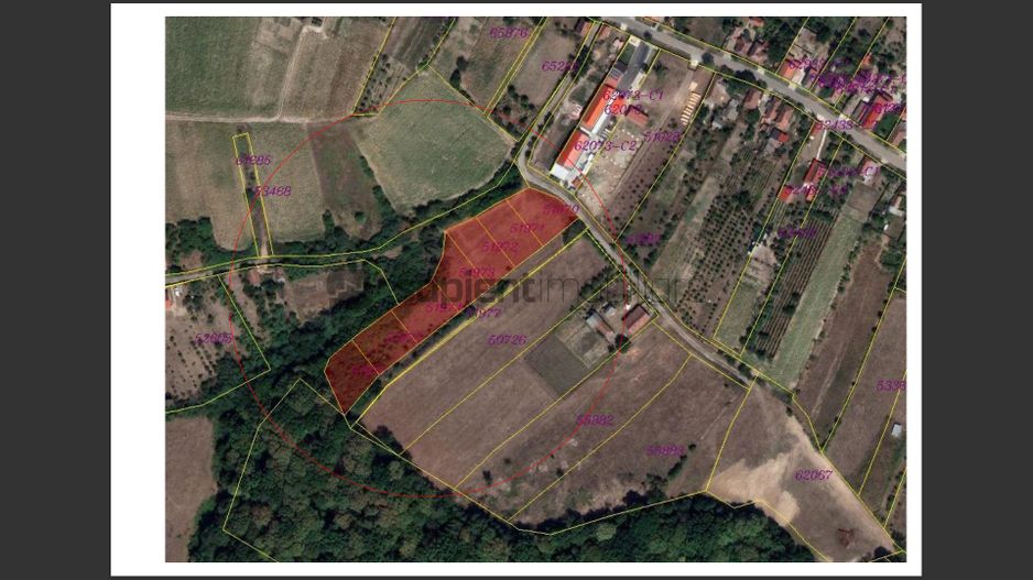 Teren Sauaieu Intravilan - Poză 2