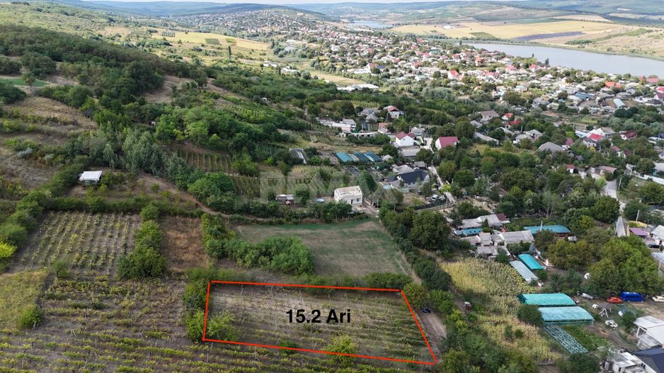 Teren de vânzare – 15 ari în Nimoreni, r-nul Ialoveni - Poză 3