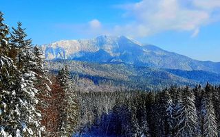 Aparthotel cu view superb Valea Prahovei - Poză 5