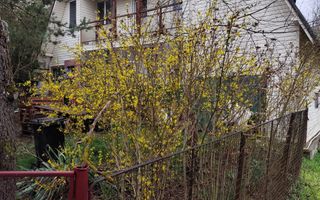 Casă de vânzare la liziera pădurii – Comuna Bogați, Argeș - Poză 7