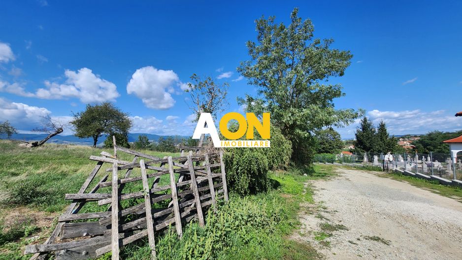 De vanzare 2965 mp teren intravilan, toate utilitatile, Oarda de Sus - Poză 10