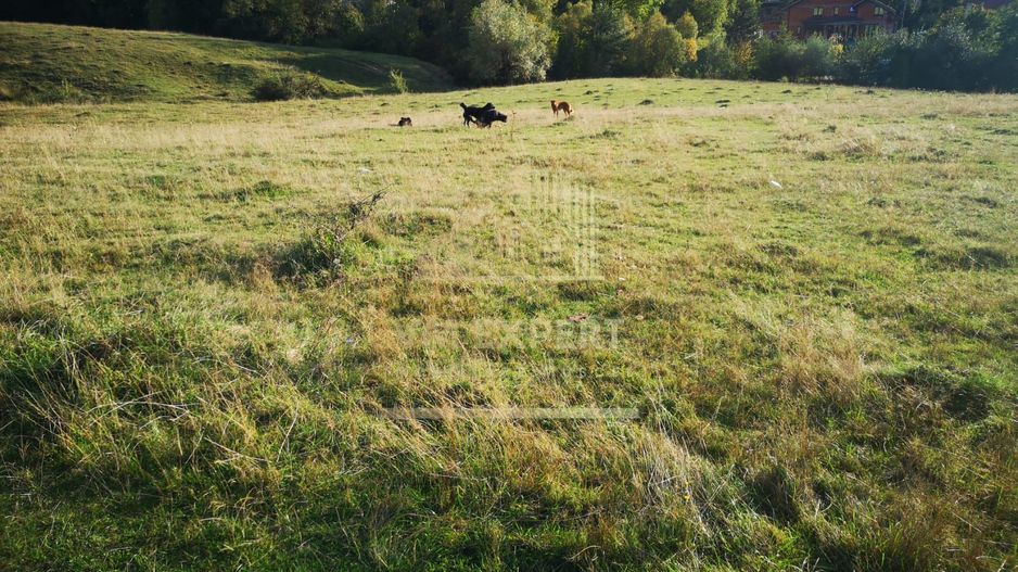 TEREN INTRAVILAN 9427 MP, CAMPULUNG - Poză 3