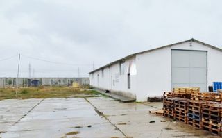 2 HALE de 357 mp si 474 mp  si teren intravilan de 5423 mp  Isalnita - Poză 1