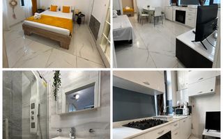 Apartamente de inchiriat zona Tineretului - Parcul Carol - Poză 11