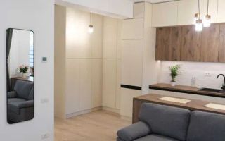 Garsoniera moderna - Poză 2