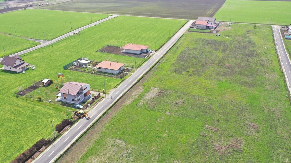 TEREN DUDESTII NOI - Poză 1