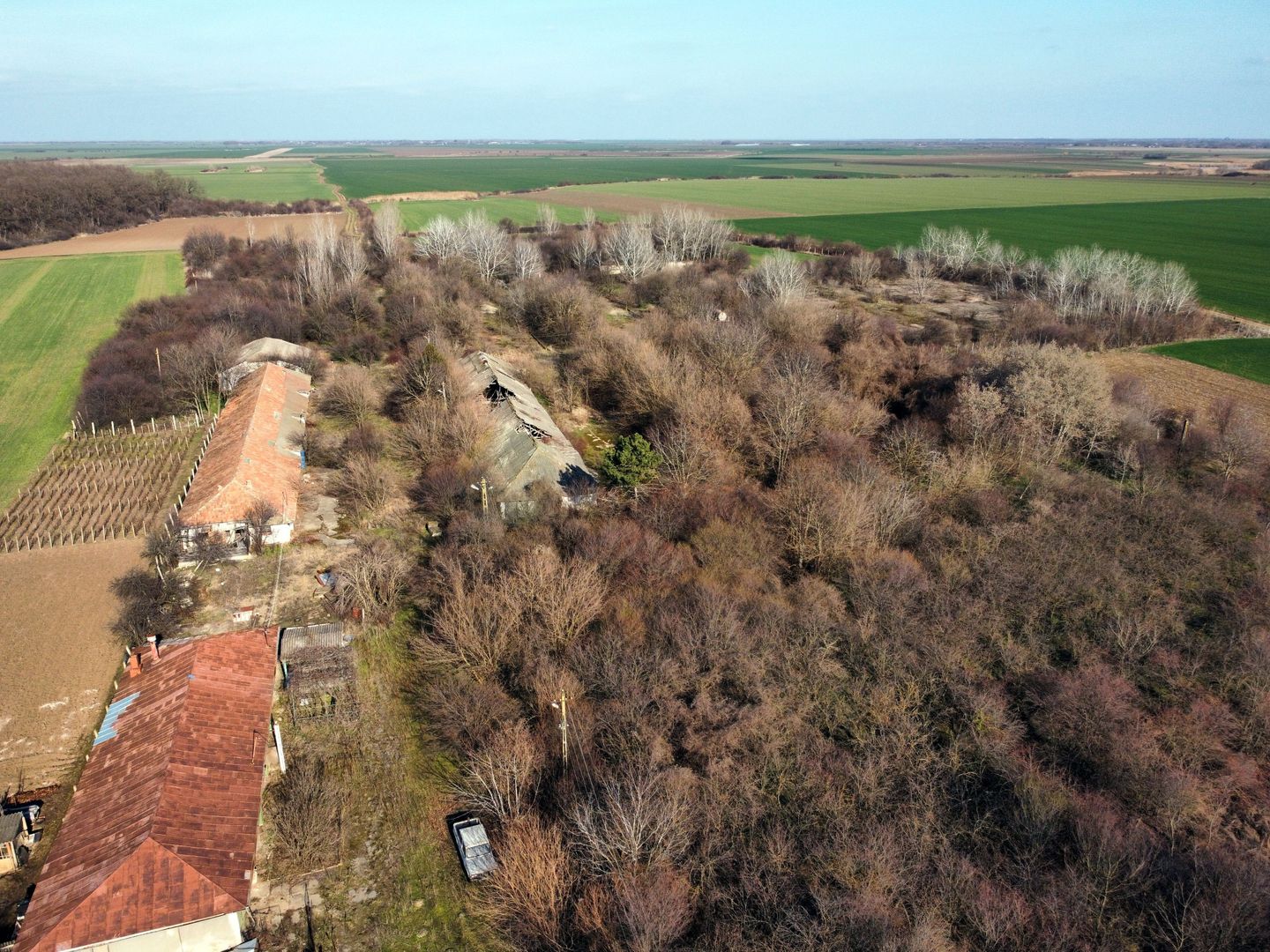 Ferma si livada de meri in judetul Ilfov - Poză 10