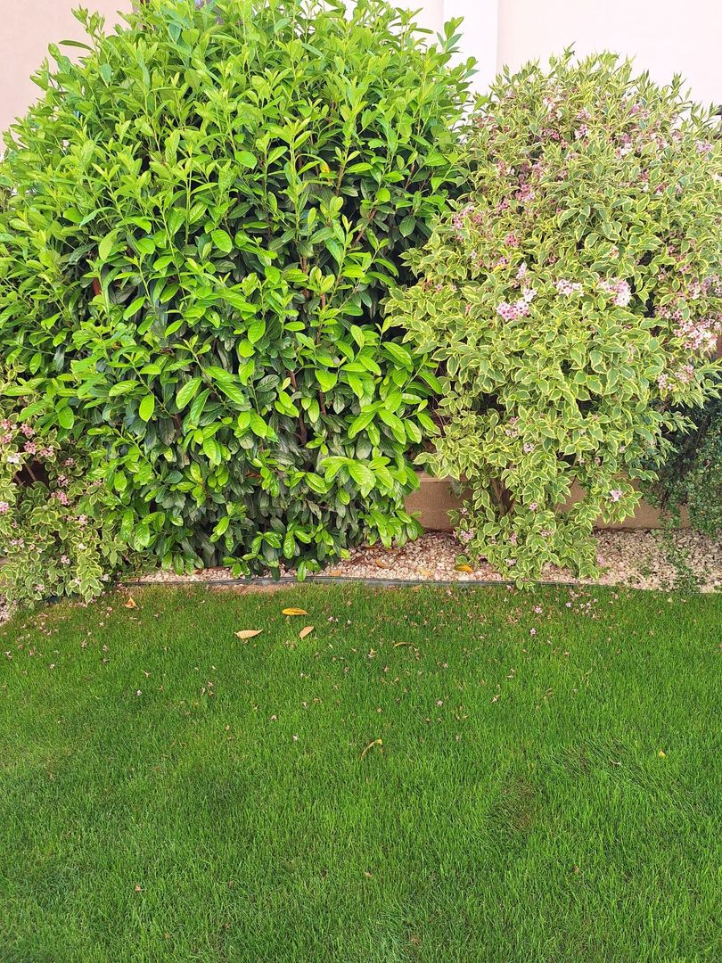 Casa deosebita, Gheorgheni-zona Iulius Mall - Poză 24