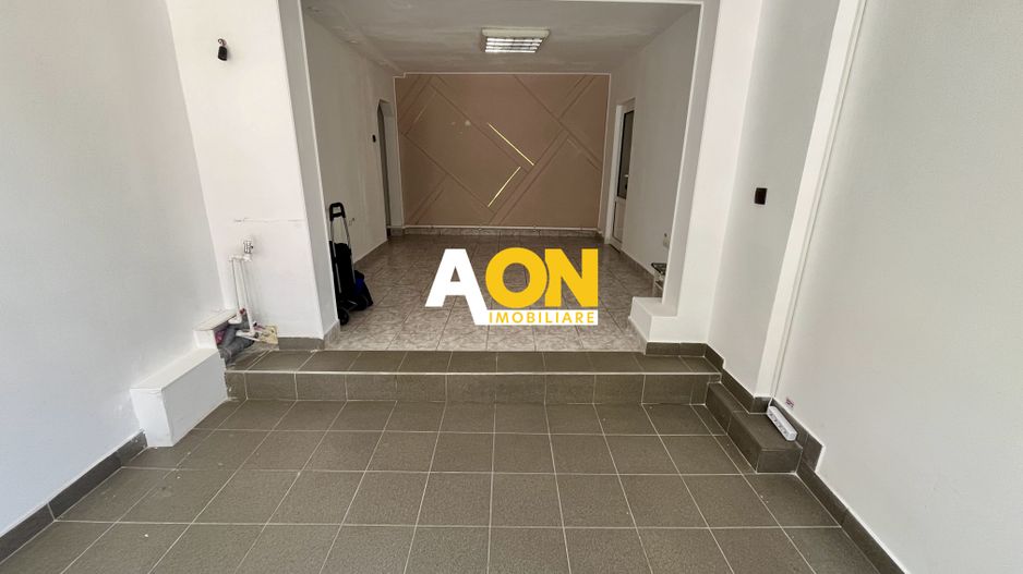 Spațiu Comercial, Zona Bulevardului Transilvania, Trafic Pietonal - Poză 2