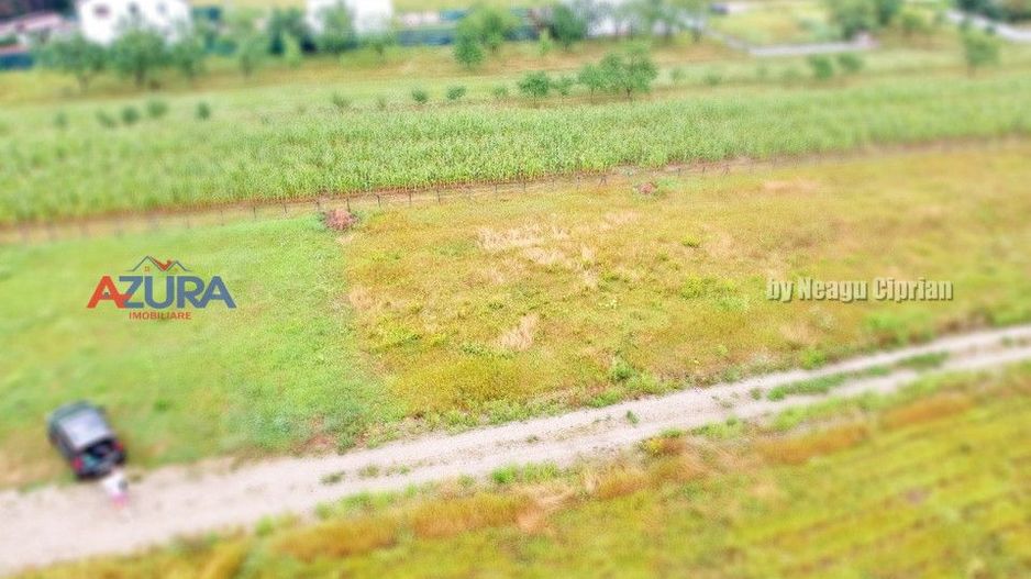 Vanzare Teren Racovita Intravilan - Poză 2