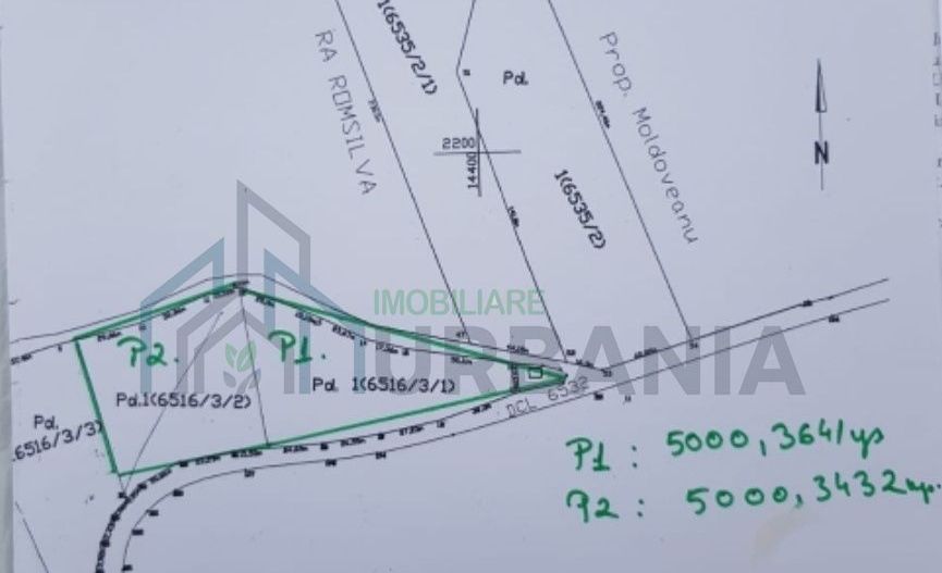 Teren forestier de 10.000 mp în zona Bucium, Iași – Oportunitate de investiție - Poză 1