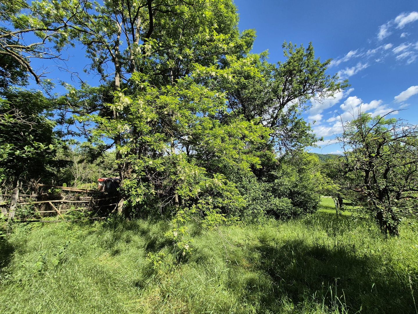 Teren intravilan 1290 mp Plaiu-Provita de Sus - Poză 18