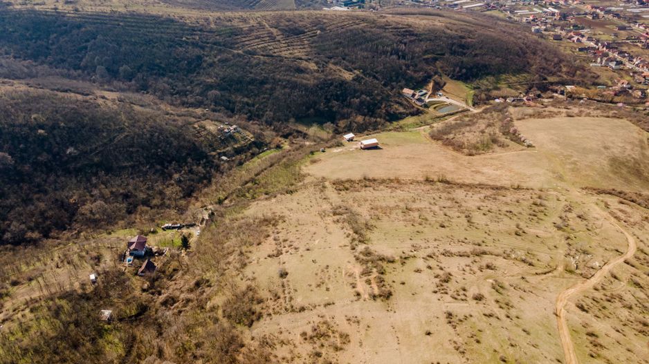 Teren extravilan aproximativ 2 ha Ghioroc - Poză 2