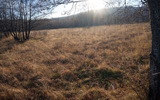 Teren extravilan | Vicovu de Jos | Preț 33.000 | Negociabil - Poză 6