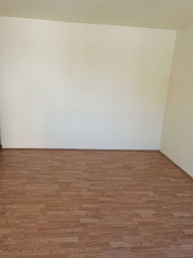Apartament 2 camere Cetate b-dul Transilvaniei - Poză 5