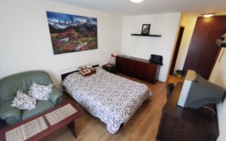 Garsoniera Banu Manta-Titulescu - Poză 3